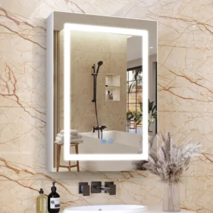 Medicine Cabinet with LED Lights, Mirror, Adjustable Shelves