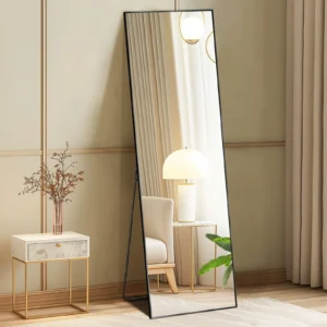 64"x21" Full Body Wall Mirror - Floor Stand or Hang
